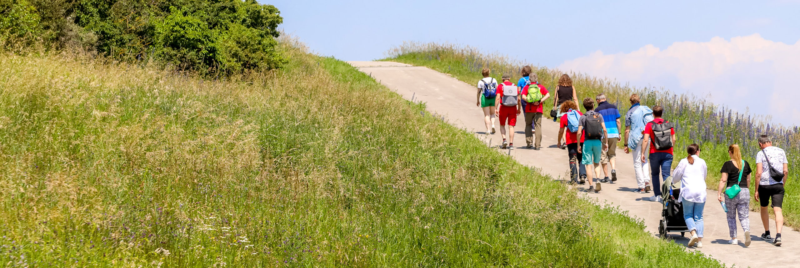 Gruppe mit ca. 15 Personen geht gemütlich auf einem Fußweg im Grünen, es ist ein sonniger Tag.