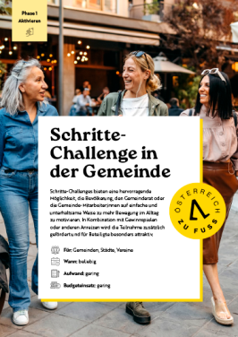 Steckbrief Schritte-Challenge